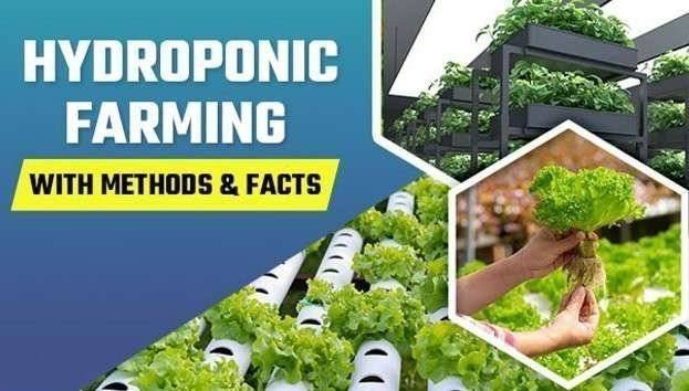 Demo Course: Introduction to Hydroponic farming